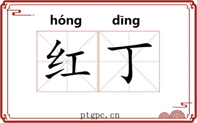 红丁 红丁