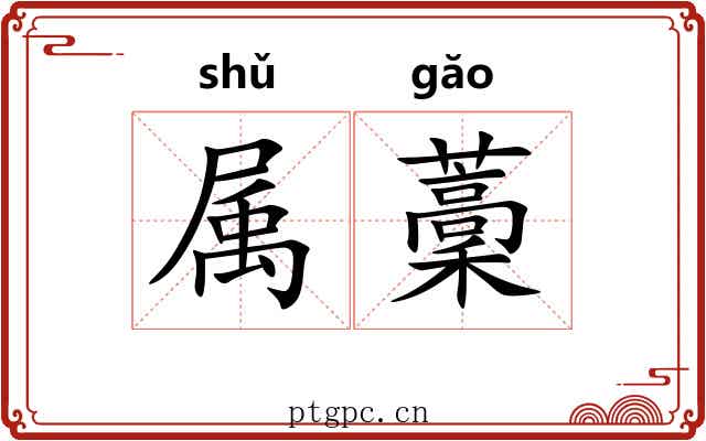 属藳