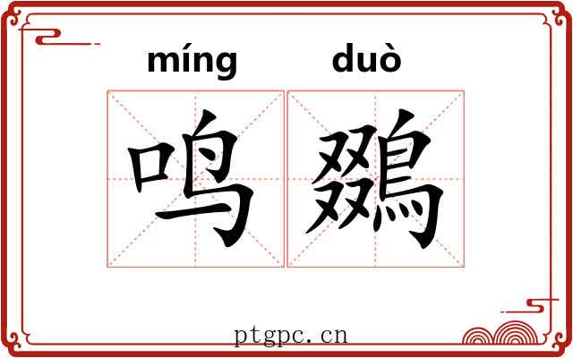 鸣鵽