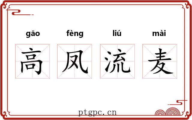 高凤流麦 高凤流麦