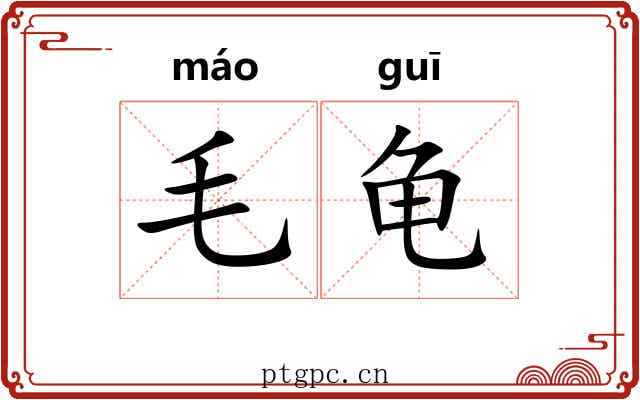 毛龟 毛龟