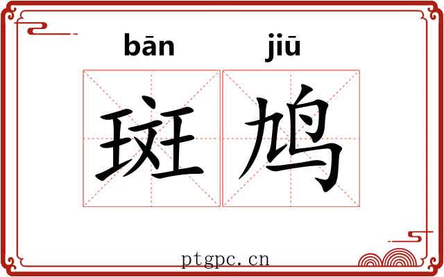 斑鸠
