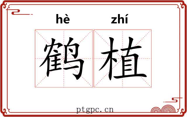 鹤植