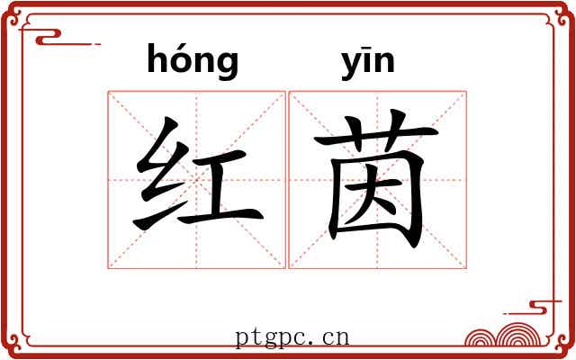 红茵 红茵