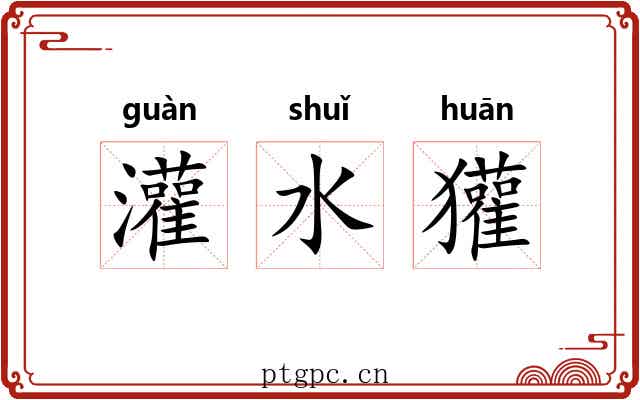 灌水獾