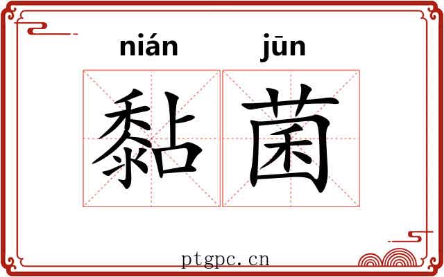 黏菌