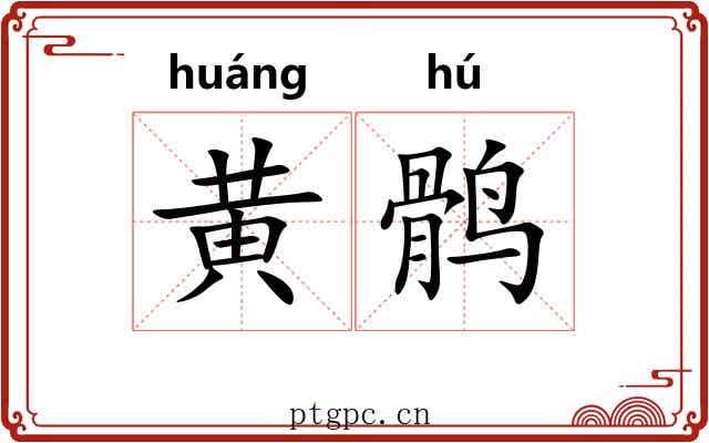 黄鹘