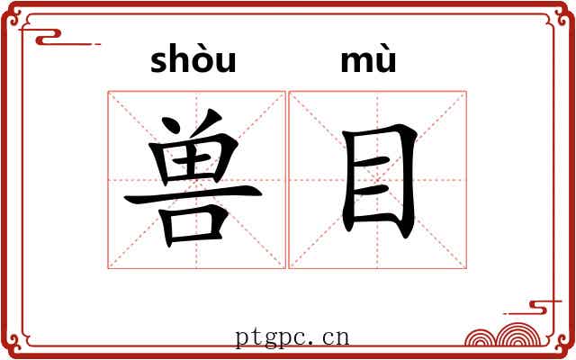 兽目