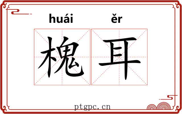 槐耳 槐耳