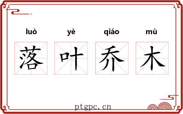 落叶乔木 落叶乔木