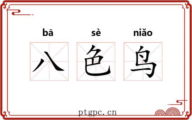 八色鸟 八色鸟