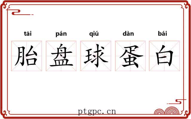 胎盘球蛋白 胎盘球蛋白