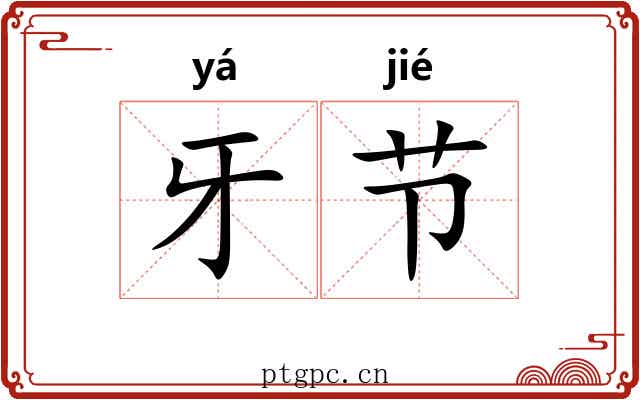牙节 牙节