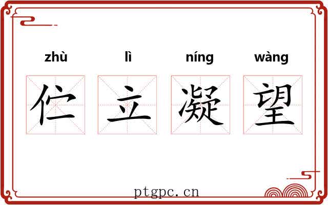 伫立凝望 伫立凝望