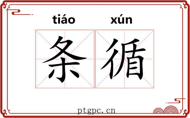 条循
