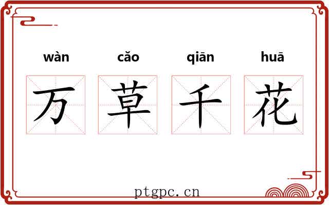 万草千花 万草千花