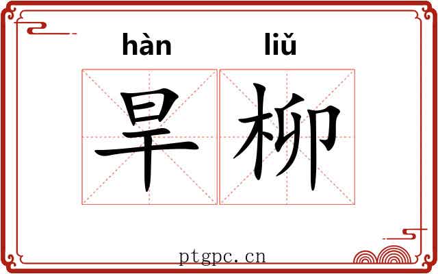 旱柳