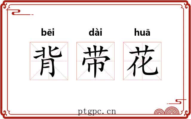 背带花 背带花