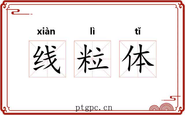 线粒体 线粒体
