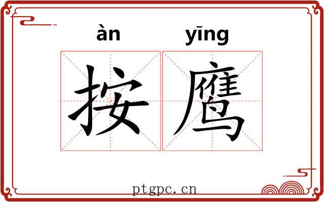 按鹰