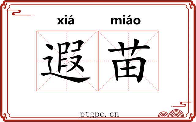 遐苗