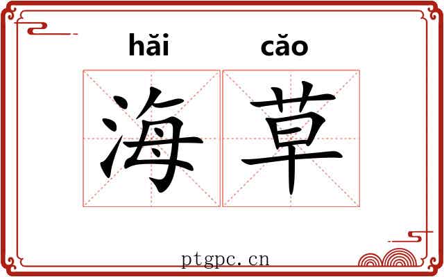 海草