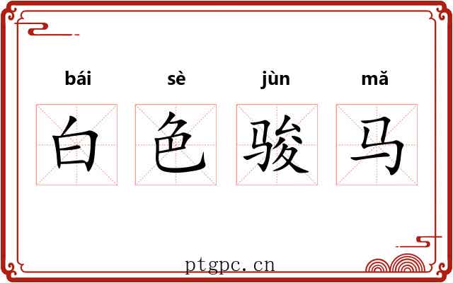 白色骏马 白色骏马
