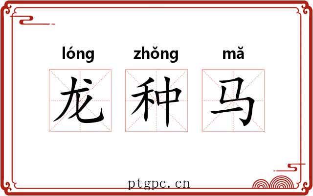 龙种马 龙种马