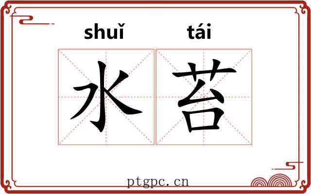 水苔 水苔