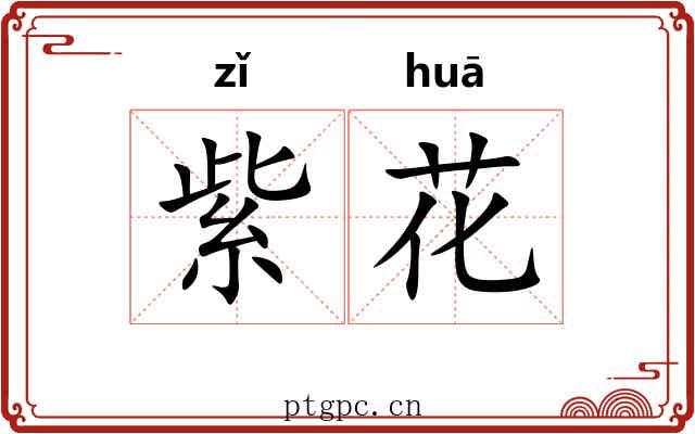 紫花 紫花