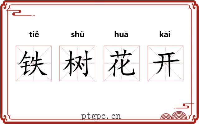 铁树花开
