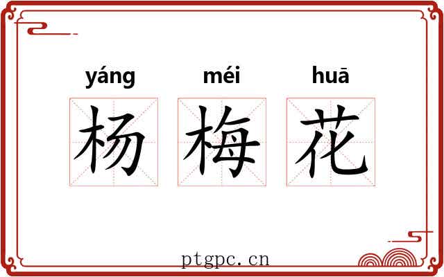 杨梅花