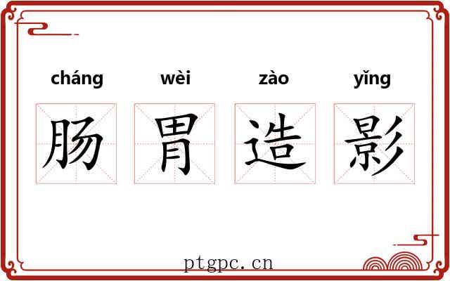 肠胃造影 肠胃造影
