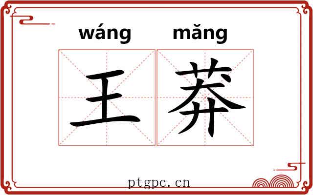 王莽 王莽