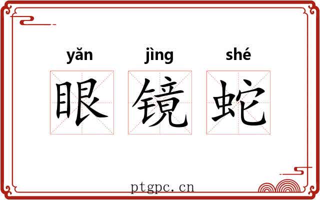 眼镜蛇 眼镜蛇
