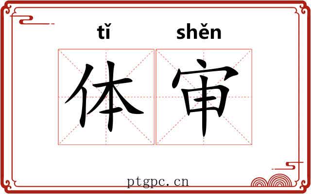 体审 体审
