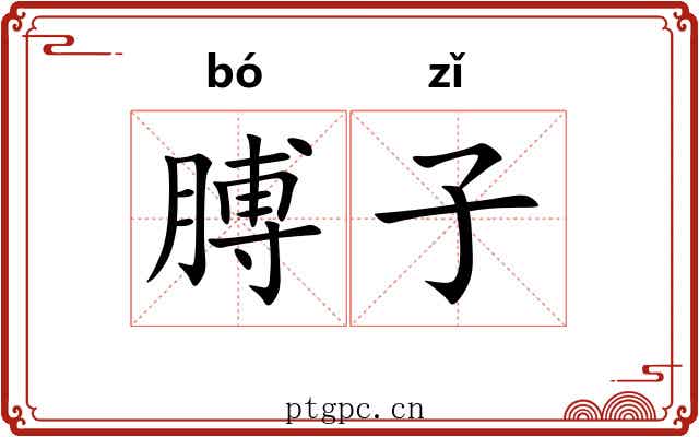 膊子 膊子
