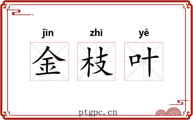 金枝叶 金枝叶