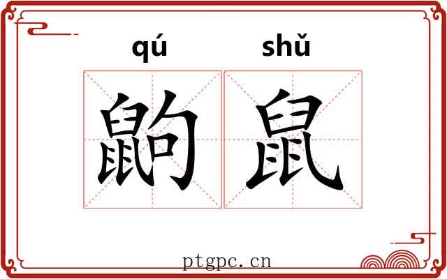 鼩鼠