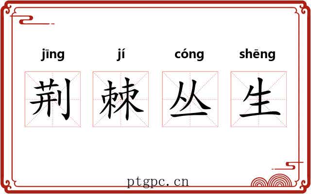 荆棘丛生 荆棘丛生