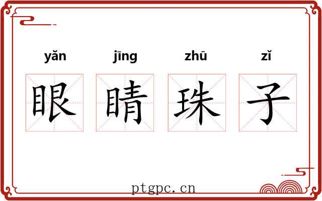 眼睛珠子 眼睛珠子