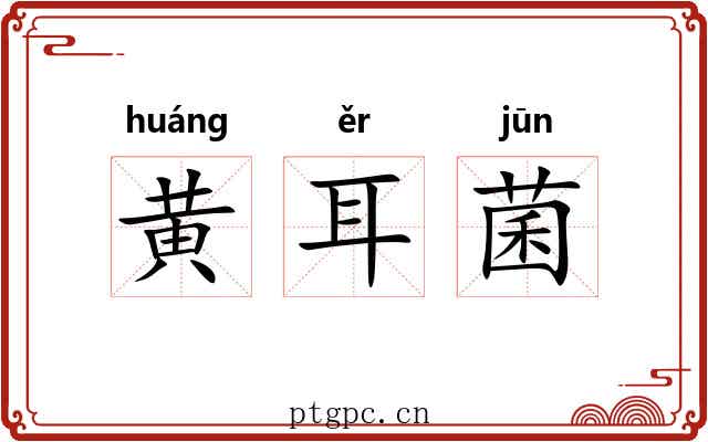 黄耳菌 黄耳菌