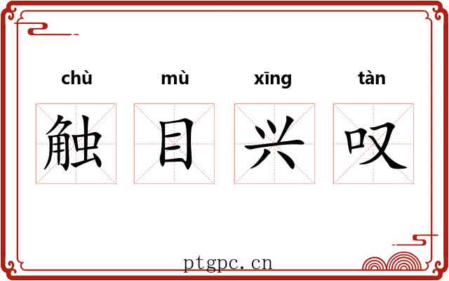 触目兴叹 触目兴叹