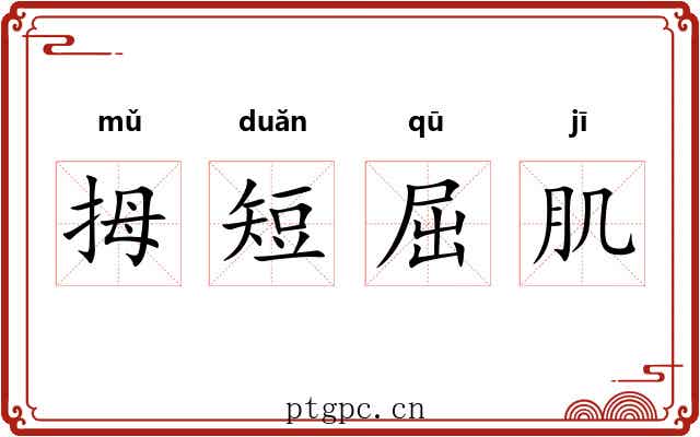 拇短屈肌 拇短屈肌