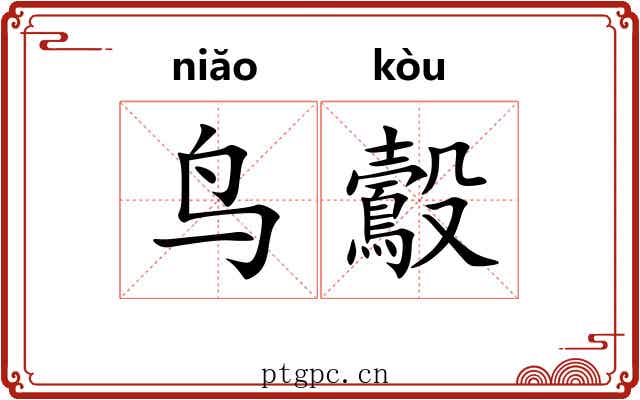 鸟鷇