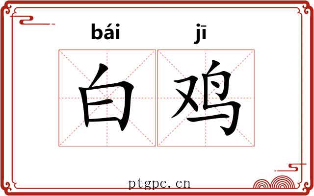 白鸡 白鸡