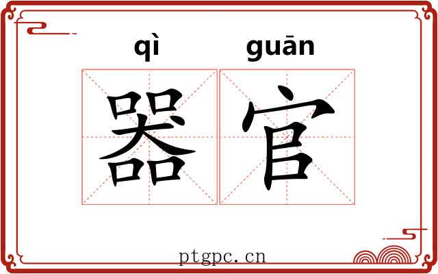 器官