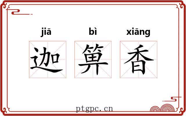 迦箅香