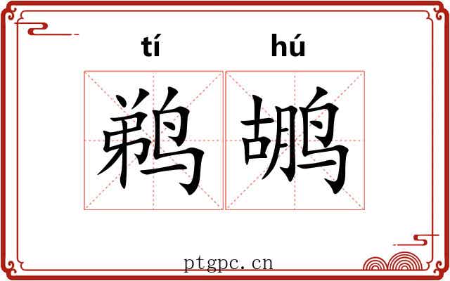 鹈鹕