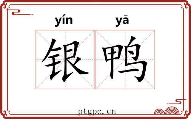 银鸭